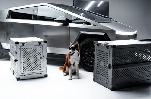 Photo by Impact Dog Crates on <a href="https://www.pexels.com/photo/futuristic-dog-and-crate-with-modern-vehicle-29547349/" rel="nofollow">Pexels.com</a>