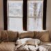 cozy dog sleeping on couch in sunlit room