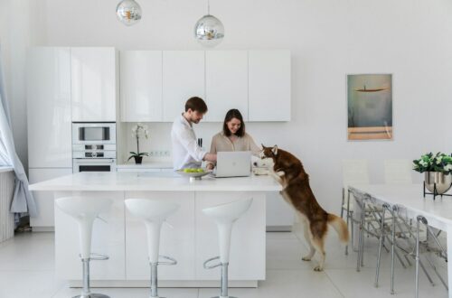 couple with dog in kitchen