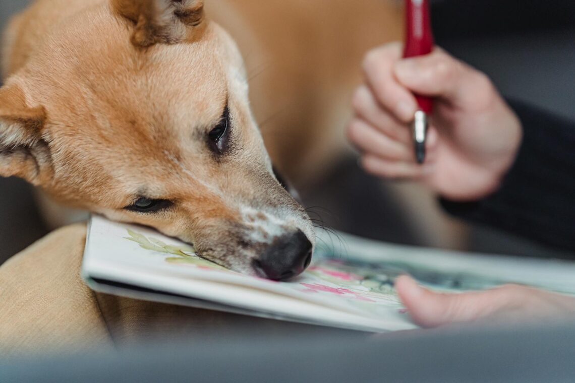 a cute brown dog leaning on an artwork painted in a sketchpad