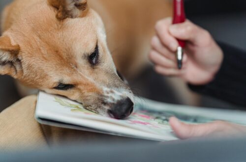 a cute brown dog leaning on an artwork painted in a sketchpad