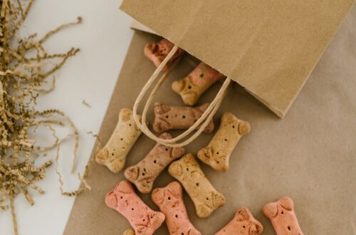 a paper bag with dog treats on a brown table