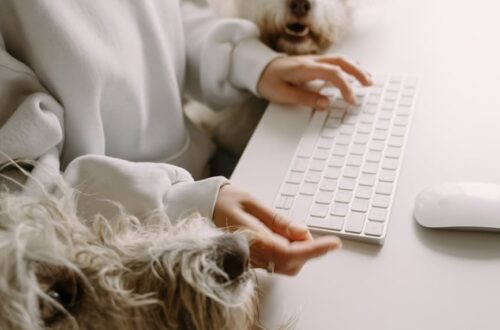 a woman typing on the keyboard with dogs